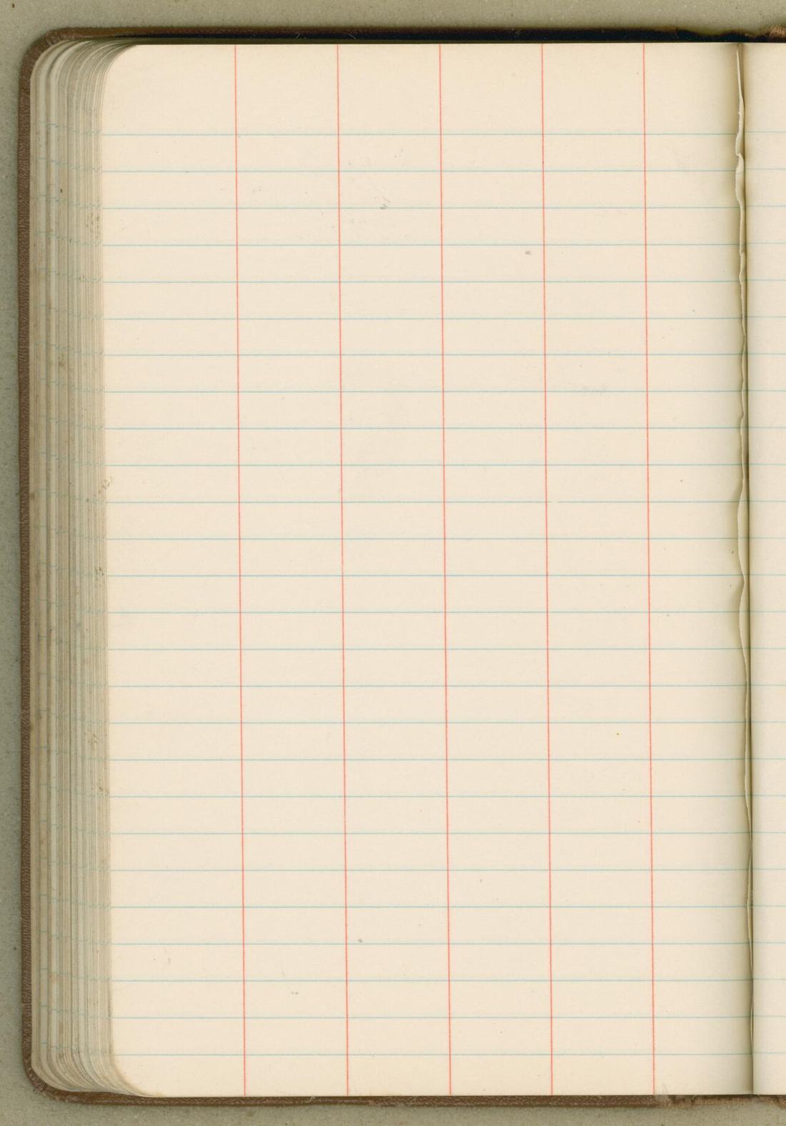 Leeres Notizbuch mit linierten Seiten
